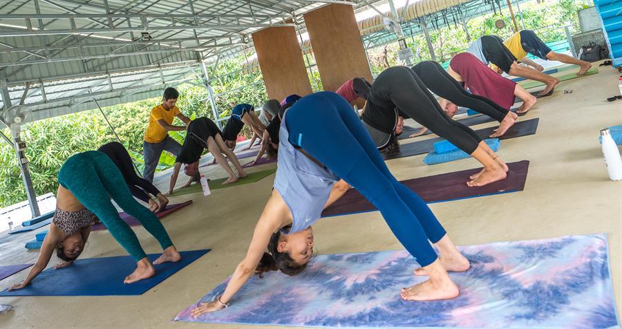 avana-yoga-workshop-yogi-madhav (13)